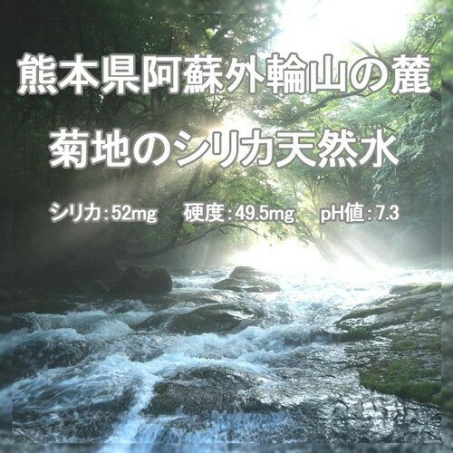 サンプル画像2