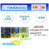 炭酸水/クラブソーダ/500ml×24本/送料無料/プレーン/レモン