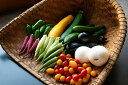 葉菜味 肌つや 野菜セット(おまかせ3~5種類)栽培期間中は農薬不使用 ※予定品目:ピーマン ナス ヤングコーン オクラ カボチャ カブ ニンジン など 国産野菜 プレゼント 詰め合わせ