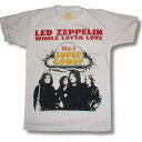  LED ZEPPELIN レッド・ツェッペリン ロバート・プラント ジミー・ペイジ ジョン・ポール・ジョーンズ ネブワース スワンソング マザーシップ メンズ レディース ロックTシャツ バンドTシャツ bny 白 ホワイト