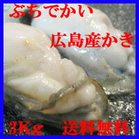 広島産冷凍かき！2LからLサイズ3Kg(剥き身）！【送料無料】【カキ・牡蠣・かき】【鍋】【RCP】【父の日・母の日】】【smtb-KD】【ギフト】【お中元・御中元】【お歳暮・御歳暮】【楽ギフ_のし】