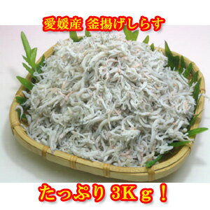 業務用 訳あり 愛媛県産 ふんわり柔らかい 釜揚げ しらす 3kg 1Kg 3袋 送料無料