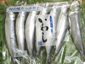 国産いわし丸干し5〜8尾【同梱におすすめ】