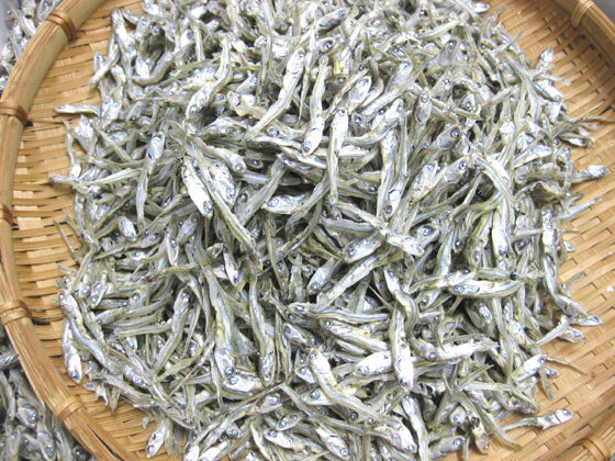 山口県周防大島産！【食べる小魚】