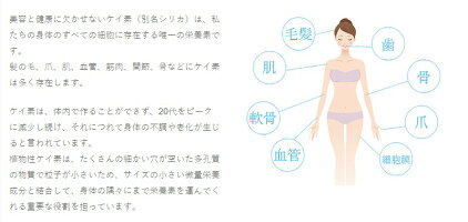 【新商品!】ライスシリカ500ml美容と健康に欠かせない栄養素ケイ素(別名シリカ)植物性ケイ素国産無農薬米もみ殻由来日本製