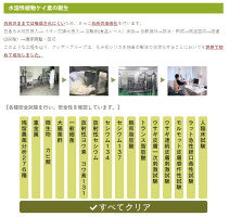 【新商品!】クレディ創食ライスシリカ500ml国産無農薬米もみ殻由来日本製植物性ケイ素(別名シリカ)美容と健康に欠かせない栄養素