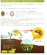 【新商品!】ライスシリカ500ml美容と健康に欠かせない栄養素ケイ素(別名シリカ)植物性ケイ素国産無農薬米もみ殻由来日本製