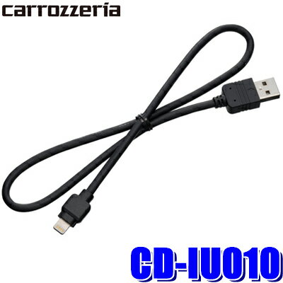 【メール便対応可】CD-IU010 pioneer パ