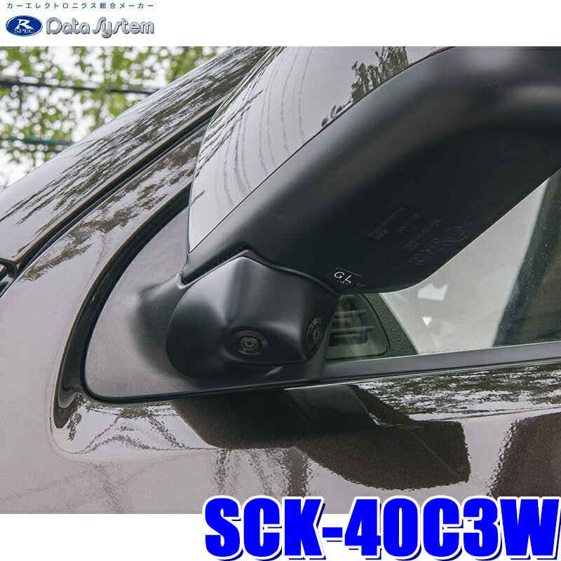 SCK-40C3W データシステム NV350キャラバン専用サイドカメラキット ツインカメラ 保安基準適合品