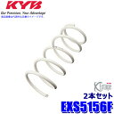 EXS5156F KYB カヤバ Extage ローダウンスプリング トヨタ 80系ノア/ヴォクシー(ZWR80G/ZRR80G)等 フロント2本セット(左右共通) (沖縄・離島 配送不可)