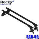 SGR-09 ロッキープラス Rocky+ スチール+ペイント製 プロボックス/サクシード等専用回転灯アタッチメントベースキャリア ルーフバー (沖縄・離島 配送不可)