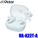 【7/15限定】最大3,000円OFFクーポン配布&エントリーPT最大5倍HA-A22T-A JVCケンウッド KENWOOD ビクター Victor ワイヤレスイヤホン アイスブルー 防滴仕様IPX4 ノイズキャンセリング搭載 カナル型 密閉タイプ