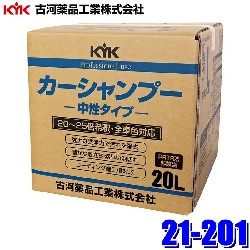 21-201 �Ų����ʹ��� �ץ������� ���������ס� �����륫�顼�� 20L ����������(���졦Υ�� �����Բ�)