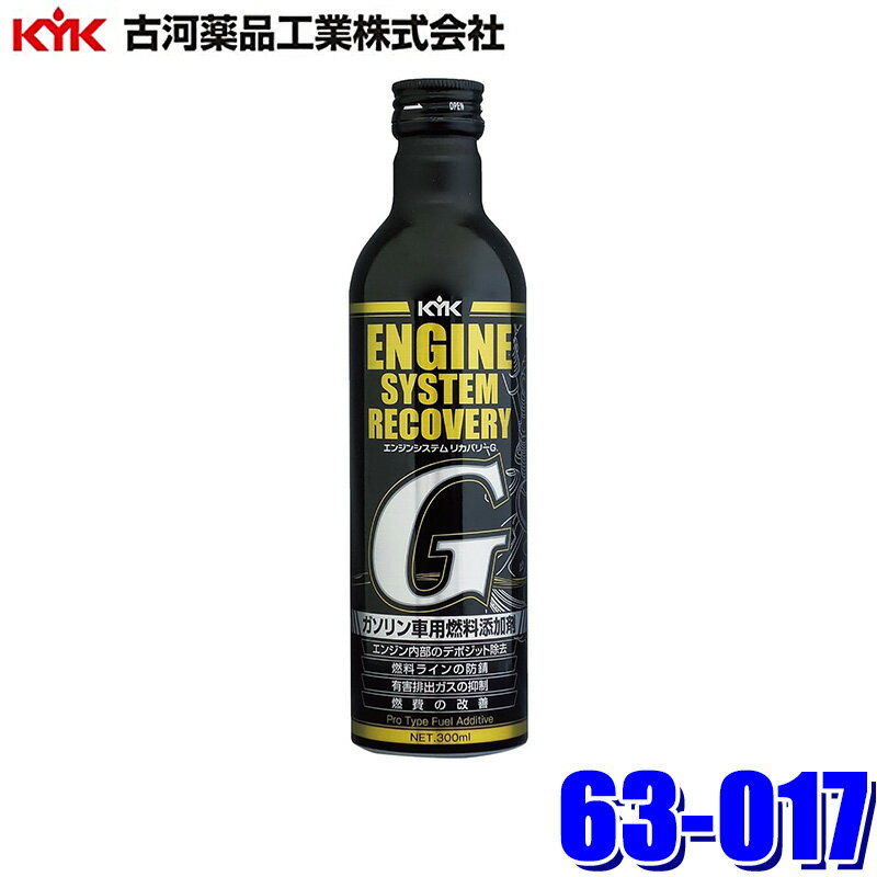 63-017 �Ų����ʹ��� ���󥸥󥷥��ƥ�ꥫ�Х꡼G 300ml ǳ��������(���졦Υ�� �����Բ�)