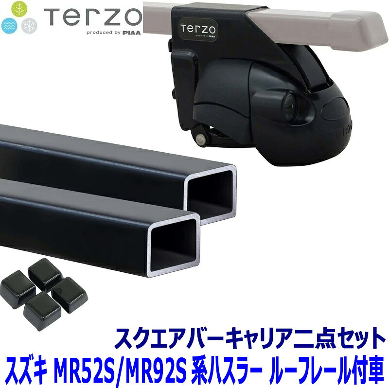 楽天市場】terzo デュアリス ベースキャリアの通販
