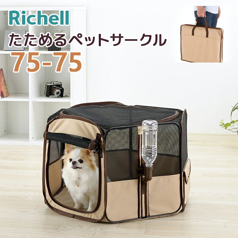 088251リッチェルRichel...