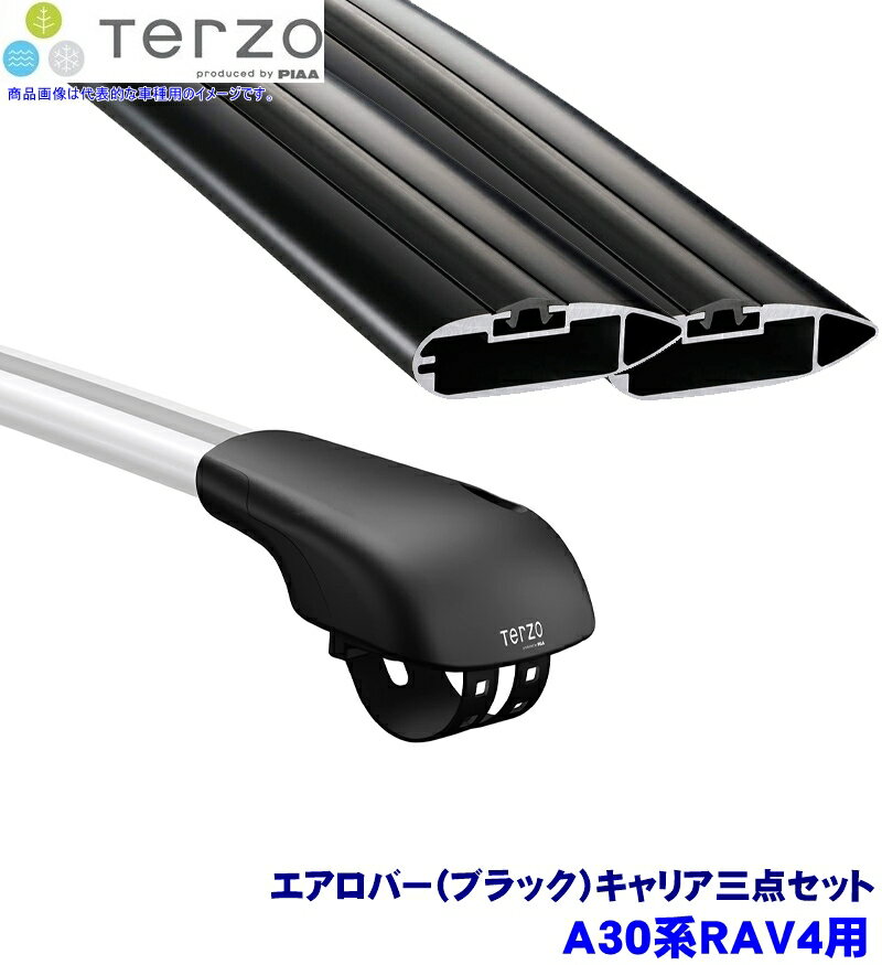 TERZO テルッツオ テルッツォ A30系RAV4(H17.11～H28.7ルーフレール付)用ルーフキャリア フット＋エアロバー(ブラック)三点セット EF103A＆EB84AB＆EB84AB