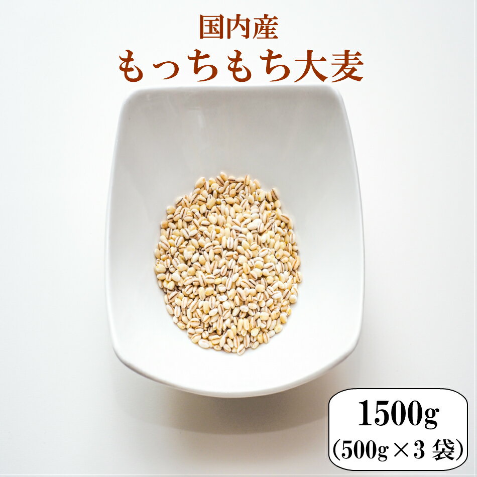 大麦 国内産もっちもち大麦 1.5kg(500g×3袋) α化 ポイント消化 送料無料 雑穀・雑穀米 古代米 食品 安い お試し 2kg以下 もち麦の代わりに 美容・ダイエット・健康 メール便