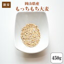 新麦 令和元年産 大麦 国内産 もっちもち大麦450g1袋 ...