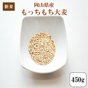 新麦 令和元年産 大麦 国内産 もっちもち大麦450g1袋 岡山県産 ポイント消化 送料無料 雑穀・雑穀米 古代米 食品 安い お試し 1kg以下 もち麦の代わりに 美容・ダイエット・健康 メール便