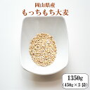 令和元年産 大麦 国産 もっちもち大麦 1350g(450g×3袋)岡山県産 ポイント消化 送料無料 雑穀・雑穀米 古代米 食品 安い お試し 2kg以下 もち麦の代わりに 美容・ダイエット・健康 メール便