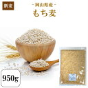 【スーパーSALE10%OFF】令和元年産 新麦 もち麦 国...