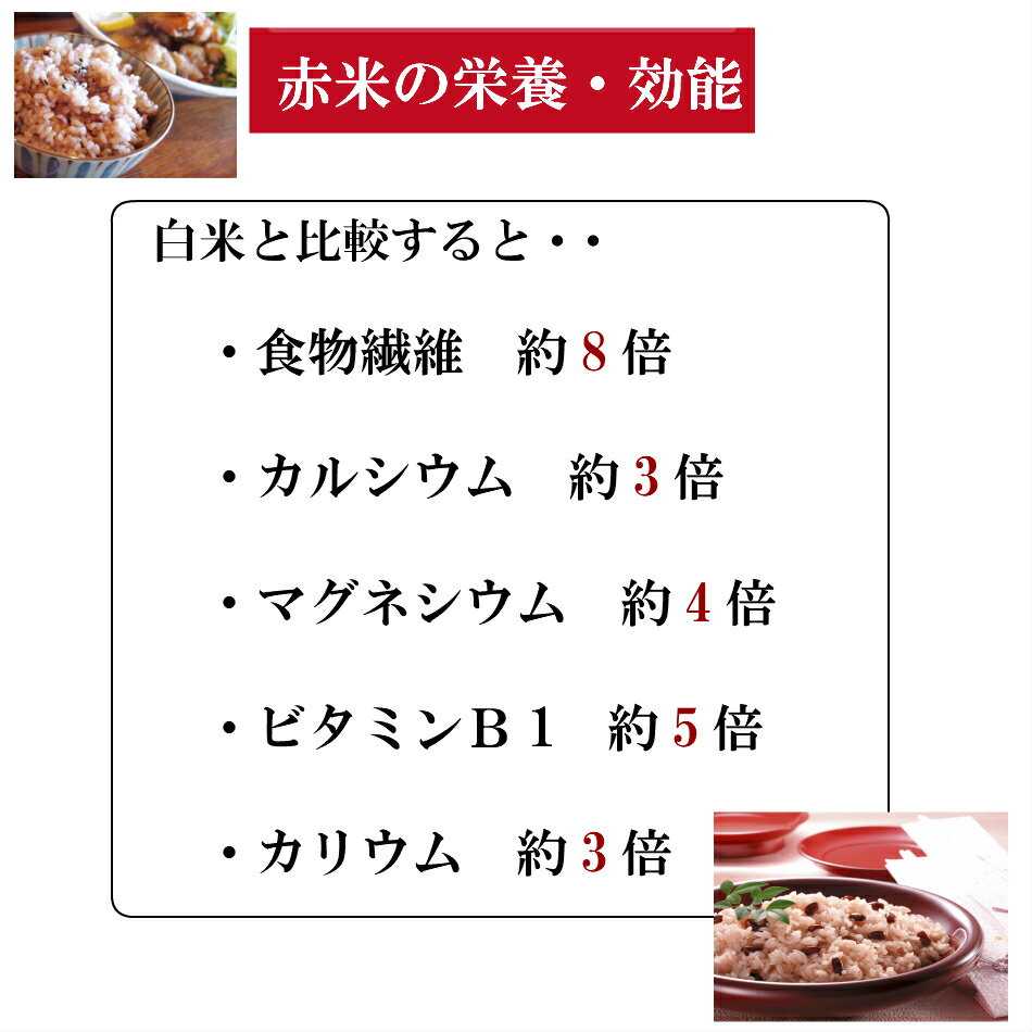 雑穀・雑穀米 赤米 100g 1袋 令和5年産 送料無料 国産 古代米 300円ポッキリ お試し ポイント消化 1kg以下 美容・ダイエット・健康 メール便 3