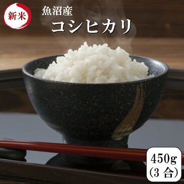 令和元年産 新米 ポイント消化 送料無料 お試し お米 食品 安い 500円ぽっきり ワンコイン 1kg以下 魚沼産コシヒカリ 450g(3合)1袋 メール便