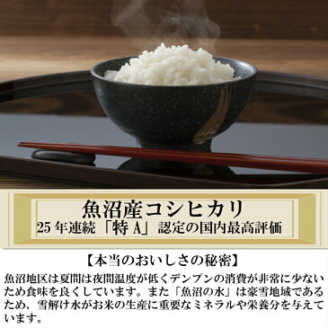 令和元年産 新米 ポイント消化 送料無料 お試し お米 食品 安い 500円ぽっきり ワンコイン 1kg以下 魚沼産コシヒカリ 450g(3合)1袋 メール便