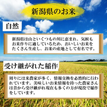 令和元年産 新米 ポイント消化 送料無料 お試し お米 食品 安い 500円ぽっきり ワンコイン 1kg以下 魚沼産コシヒカリ 450g(3合)1袋 メール便