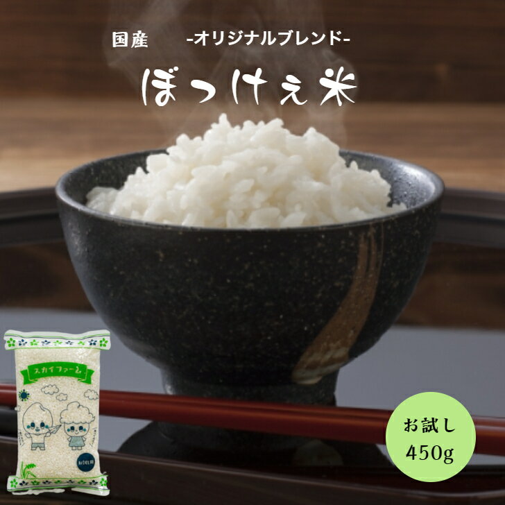 ポイント消化 送料無料 お試し お米 食品 安い 1kg以下 国内産 令和5年産入り ぼっけぇ米 ぼっけえ米 450g(3合)1袋 メール便