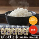 お米 10kg 送料無料 令和6年産入り ぼっけぇ米 ぼっけえ米 10kg(2kg×5袋)or 10kg(5kg×2袋)選べる袋 小分けパック 国内産 オリジナルブレンド