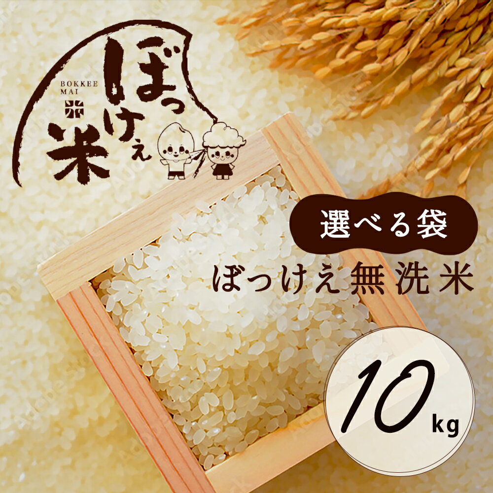 無洗米 お米 10kg 送料無料 令和5年産入り ぼっけぇ無洗米 ぼっけえ無洗米 10kg(2kg×5袋) or（5kg×2袋）選べる袋 小分けパック 国産 オリジナルブレンド