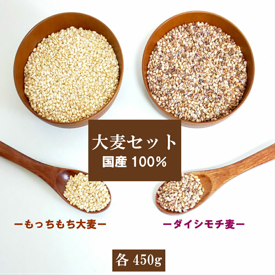 国内産 大麦セット (もっちもち大麦：α化・ダイシモチ)各450g ポイント消化 送料無料 雑穀・雑穀米 古..