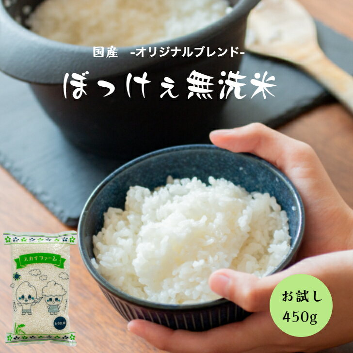 ポイント消化 送料無料 お試し お米 無洗米 食品 安い 1kg以下 国内産 令和5年産入り ぼっけぇ無洗米 ぼっけえ無洗米 450g(3合)1袋 メール便