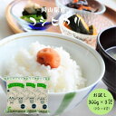 令和6年産 ポイント消化 送料無料 お試し お米 食品 安い 1kg以下 岡山県産 コシヒカリ 900g【300g(2合)×3袋】メール便