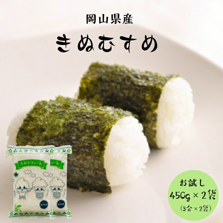 ＼スーパーSALE期間20％OFF／令和3年産 ポイント消化 送料無料 お試し お米 食品 安い 1kg以下 岡山県産きぬむすめ 900g【450g(3合)×2袋】メール便