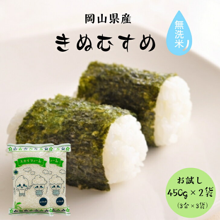 令和5年産 ポイント消化 送料無料 お試し お米 無洗米 食品 安い 1kg以下 特A獲得 里海米 岡山県産きぬむすめ 無洗米 900gメール便