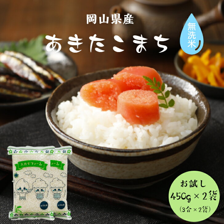 令和5年産 ポイント消化 送料無料 お試し お米 無洗米 食品 安い 1kg以下 岡山県産 あきたこまち 無洗米 900gメール便