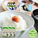 令和6年産 ポイント消化 送料無料 お試し お米 食品 安い 1kg以下 岡山県産 コシヒカリ 無洗米 900g【300g(2合)×3袋】メール便