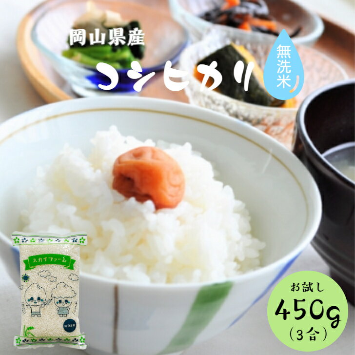 令和5年産 ポイント消化 送料無料 お試し お米 食品 安い 1kg以下 岡山県産 コシヒカリ 無洗米 450g(3合)1袋 500円ぽっきり メール便