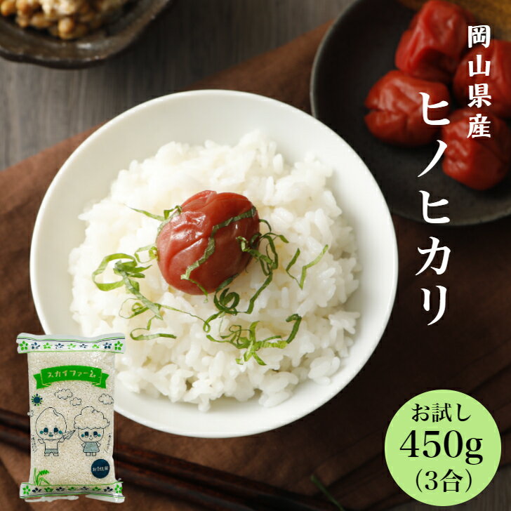 令和5年産 ポイント消化 送料無料 お試し お米 食品 安い 1kg以下 岡山県産ヒノヒカリ 450g(3合)1袋 メール便