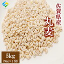 新麦 令和3年 大麦 佐賀県産 丸麦(大麦) 5kg1袋 α化 送料無料