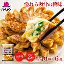 冷凍食品 惣菜 餃子/バーミヤン 本格生餃子 40個入り(目安)×6袋/ギョーザ ぎょうざ 冷凍餃子 中華惣菜 お惣菜 おかず 弁当 フライパン調理 一人暮らし...