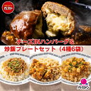 【50%OFF!お買い物マラソン期間限定♪】母の日 冷凍食品 惣菜 /ガスト チーズINハンバーグ&バーミヤン 炒飯プレートセット 4種6袋入り/中華惣菜 お惣...