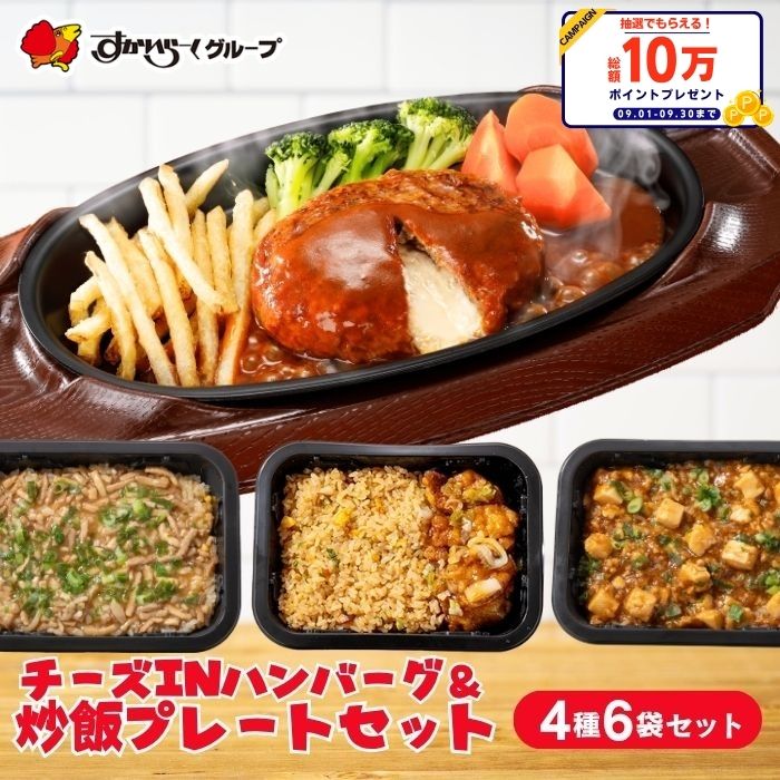 【楽天スーパーSALE！50％OFF！8,260円⇒4,130円！】冷凍食品 惣菜 /ガスト チーズINハンバーグ＆バーミヤン 炒飯プレートセット 4種6袋/中華惣菜 お惣菜 おかず 弁当 レンチン レンジ調理 一人暮らし 簡単調理 グルメ ギフト