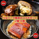 【お買い物マラソン期間中ポイント10倍】お中元 冷凍食品 うなぎ ハンバーグ /ガスト うなバーグ魅惑のセット2種10食/ ウナギ 鰻 蒲焼 蒲焼き かば焼き ...