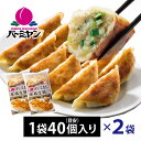 すかいらーく 通販 バーミヤン 餃子 ぎょうざ ギョウザ 冷凍 2袋 80個 目安40個入り×2袋 1個約23g 満足サイズ 国内工場製造 冷凍食品 買い溜め 1