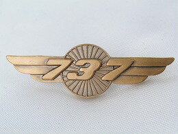 【Boeing 737 Wings Pin】 ボーイング 737 ウイング ピン