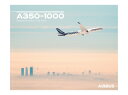 yAirbus A350-1000 Flight View Posterz GAoX s@ |X^[